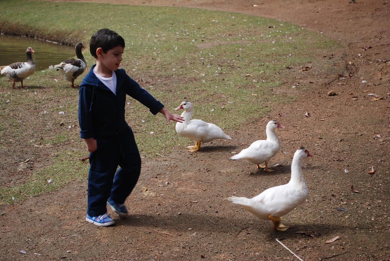 Pousada Quinta Dos Doges Valenca  Buitenkant foto